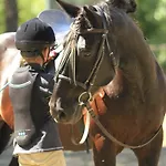 Il Paretaio فندق مبيت وإفطار 3*