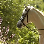 Il Paretaio 3*