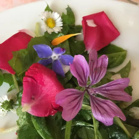 住宿加早餐酒店 Il Paretaio 巴巴里诺瓦德尔萨