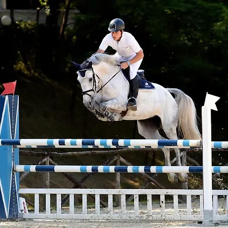 Bed and Breakfast Il Paretaio