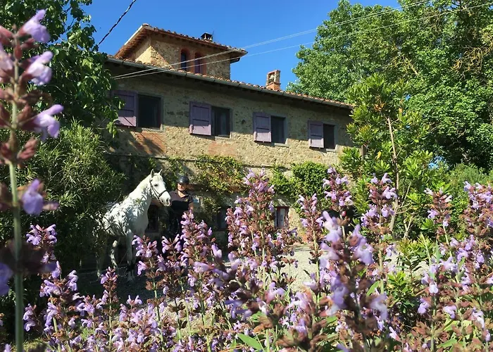 Il Paretaio Bed and Breakfast Barberino di Val dʼElsa