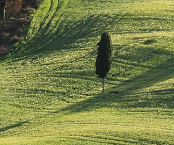 Il Paretaio Bed and Breakfast Barberino di Val dʼElsa