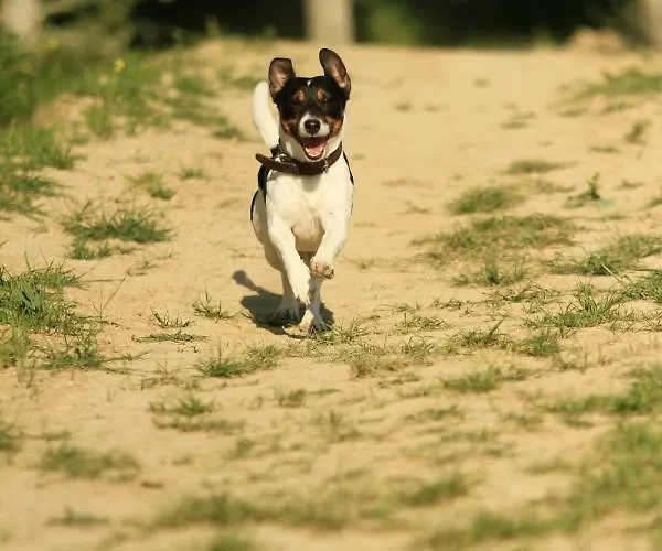 Il Paretaio Barberino di Val dʼElsa