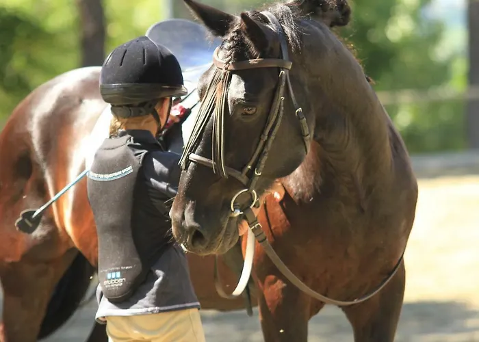 Il Paretaio Bed and Breakfast 4*