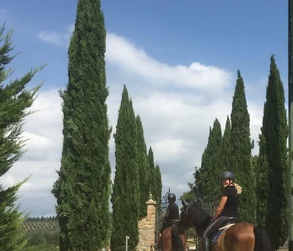 Il Paretaio 4* Barberino di Val dʼElsa