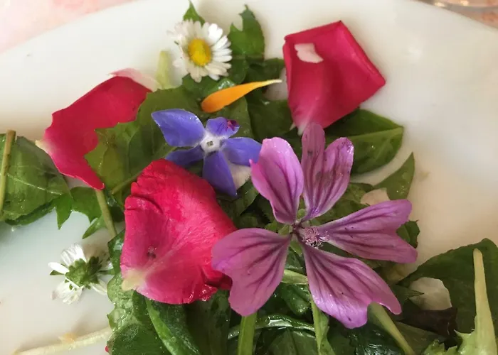 Bed and Breakfast Il Paretaio Barberino di Val dʼElsa