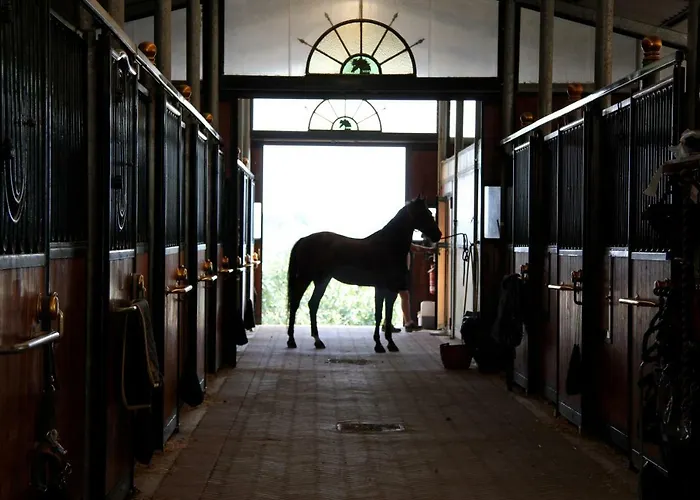 Bed and Breakfast Il Paretaio 4*