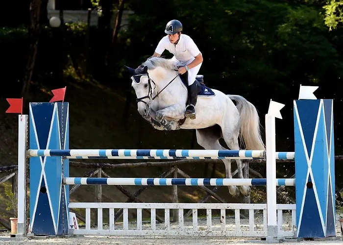 Bed and Breakfast Il Paretaio