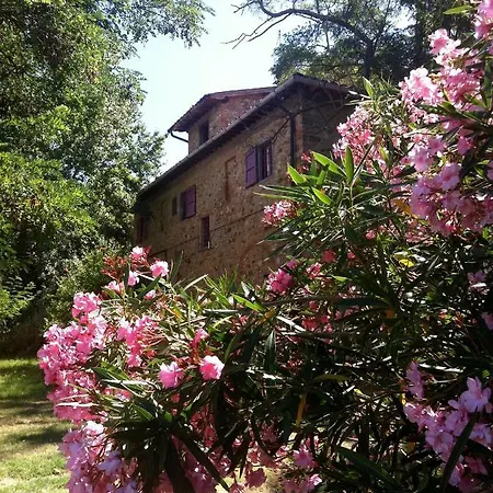 Il Paretaio
