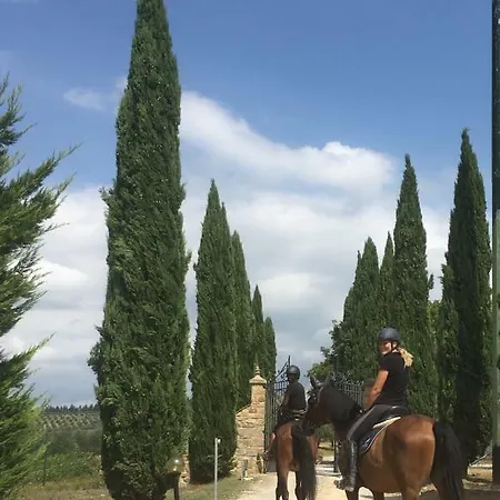 Il Paretaio * Barberino di Val dʼElsa